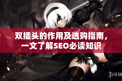双插头的作用及选购指南，一文了解SEO必读知识