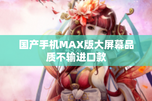 国产手机MAX版大屏幕品质不输进口款