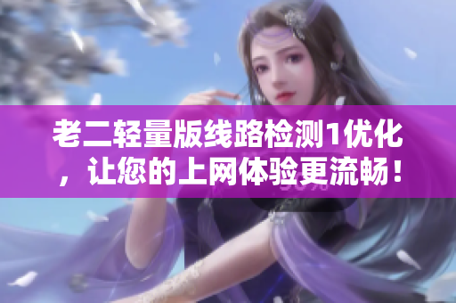 老二轻量版线路检测1优化，让您的上网体验更流畅！