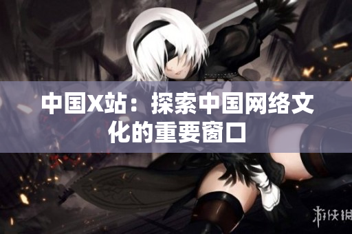 中国X站：探索中国网络文化的重要窗口