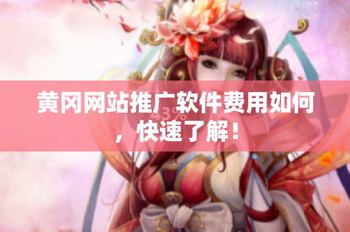 黄冈网站推广软件费用如何，快速了解！