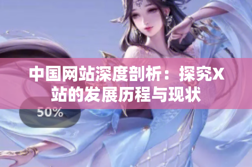 中国网站深度剖析：探究X站的发展历程与现状