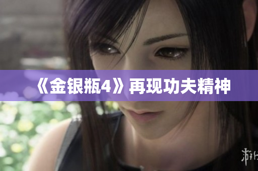 《金银瓶4》再现功夫精神