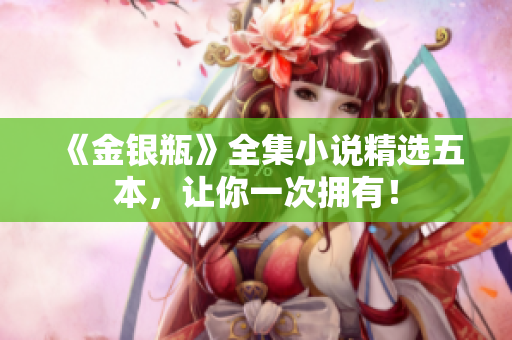 《金银瓶》全集小说精选五本，让你一次拥有！