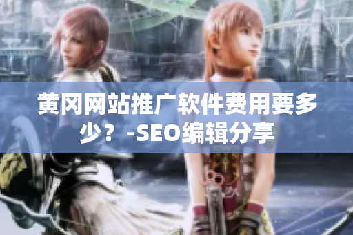 黄冈网站推广软件费用要多少？-SEO编辑分享