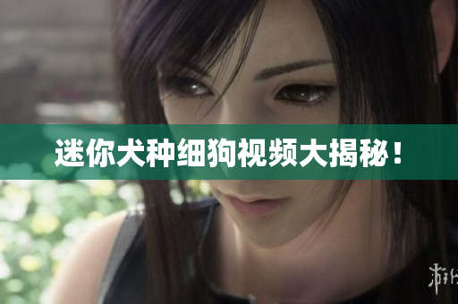 迷你犬种细狗视频大揭秘！