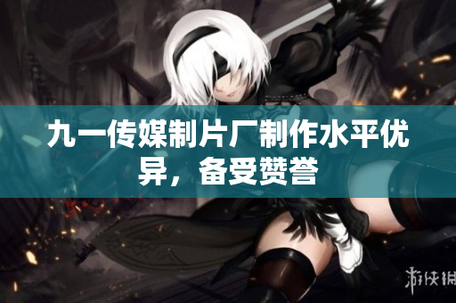 九一传媒制片厂制作水平优异，备受赞誉