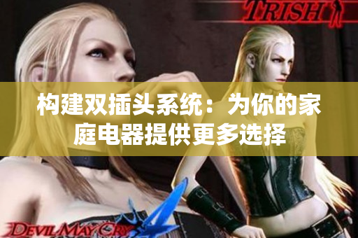 构建双插头系统：为你的家庭电器提供更多选择