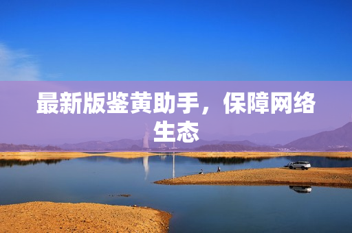 最新版鉴黄助手，保障网络生态