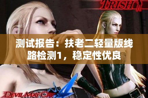 测试报告：扶老二轻量版线路检测1，稳定性优良