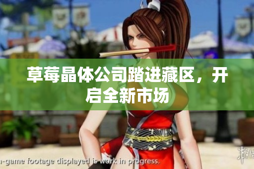 草莓晶体公司踏进藏区，开启全新市场