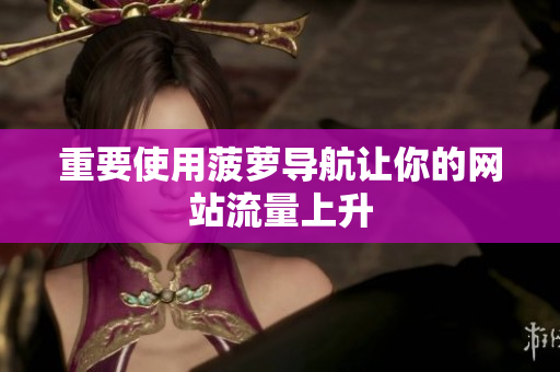 重要使用菠萝导航让你的网站流量上升
