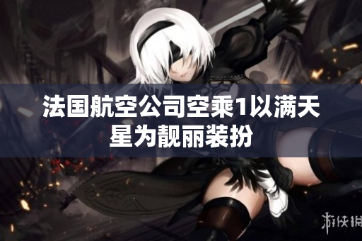 法国航空公司空乘1以满天星为靓丽装扮