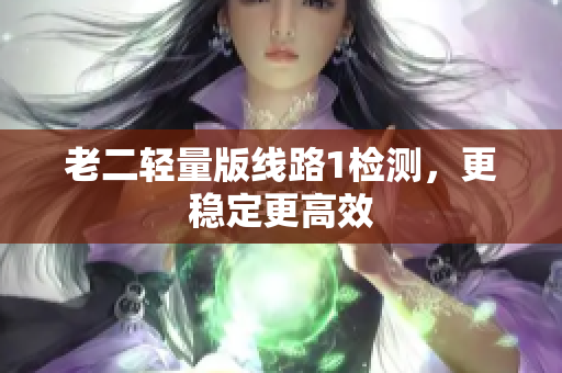 老二轻量版线路1检测，更稳定更高效