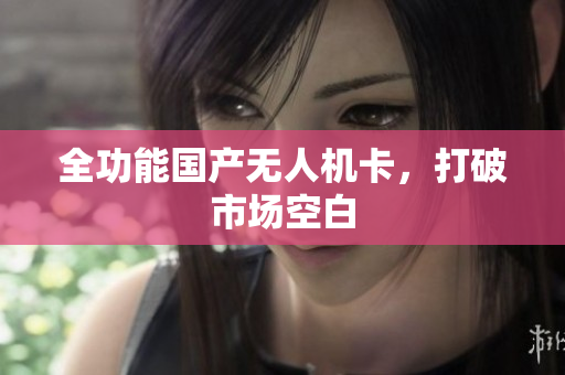 全功能国产无人机卡，打破市场空白