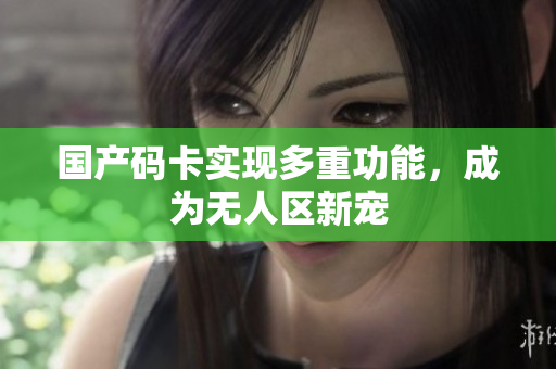 国产码卡实现多重功能，成为无人区新宠
