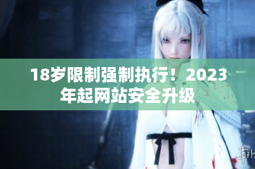 18岁限制强制执行！2023年起网站安全升级