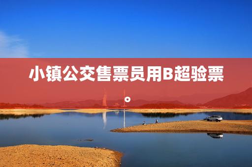 小镇公交售票员用B超验票。