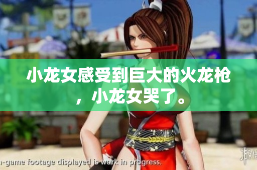 小龙女感受到巨大的火龙枪，小龙女哭了。