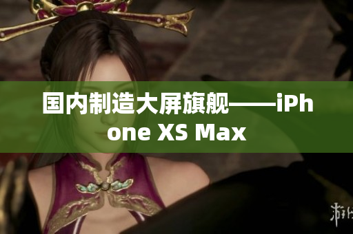国内制造大屏旗舰——iPhone XS Max
