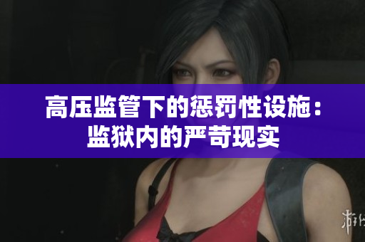 高压监管下的惩罚性设施：监狱内的严苛现实