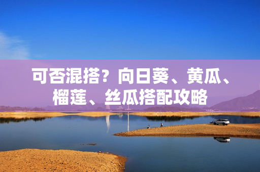 可否混搭？向日葵、黄瓜、榴莲、丝瓜搭配攻略