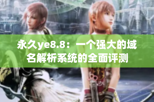 永久ye8.8：一个强大的域名解析系统的全面评测