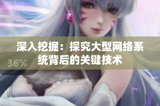 深入挖掘：探究大型网络系统背后的关键技术