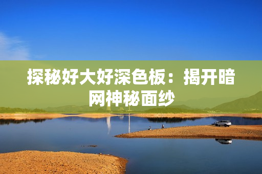 探秘好大好深色板：揭开暗网神秘面纱