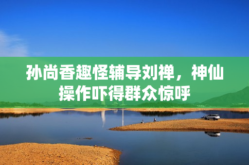 孙尚香趣怪辅导刘禅，神仙操作吓得群众惊呼