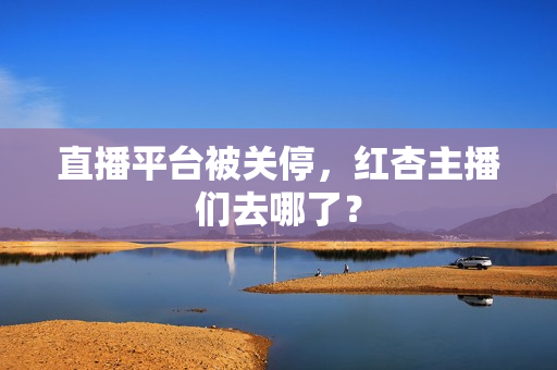 直播平台被关停，红杏主播们去哪了？