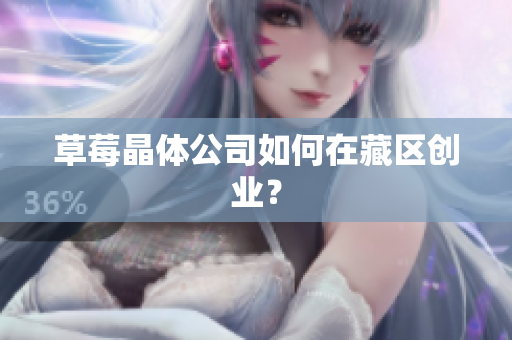 草莓晶体公司如何在藏区创业？