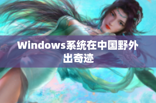 Windows系统在中国野外出奇迹