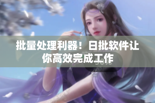 批量处理利器！日批软件让你高效完成工作