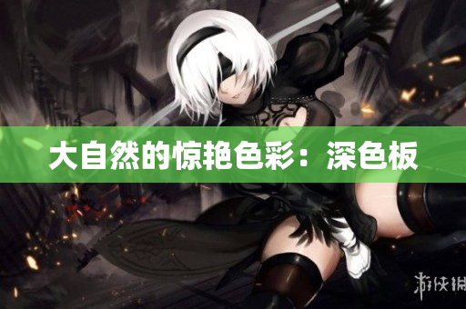 大自然的惊艳色彩：深色板