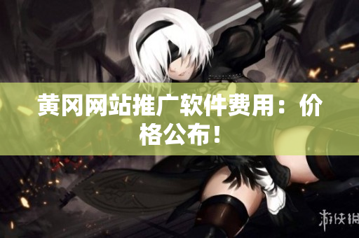 黄冈网站推广软件费用：价格公布！
