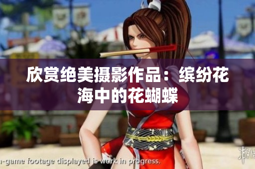 欣赏绝美摄影作品：缤纷花海中的花蝴蝶