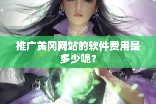 推广黄冈网站的软件费用是多少呢？