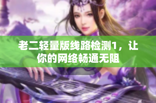 老二轻量版线路检测1，让你的网络畅通无阻