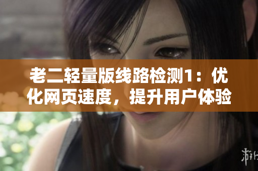 老二轻量版线路检测1：优化网页速度，提升用户体验