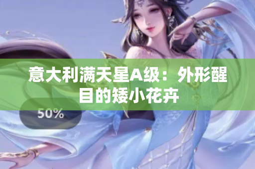 意大利满天星A级：外形醒目的矮小花卉