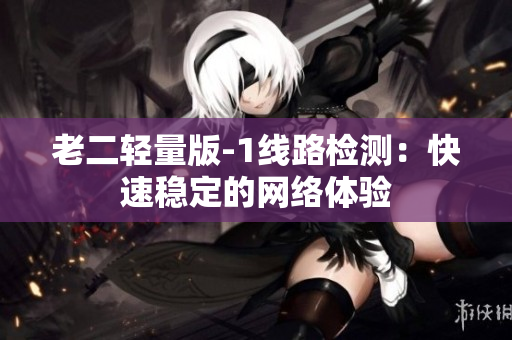 老二轻量版-1线路检测：快速稳定的网络体验