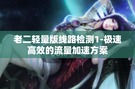 老二轻量版线路检测1-极速高效的流量加速方案
