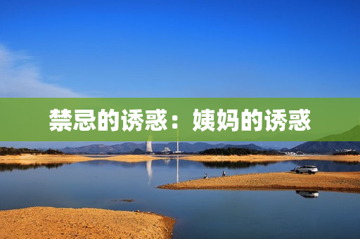 禁忌的诱惑：姨妈的诱惑