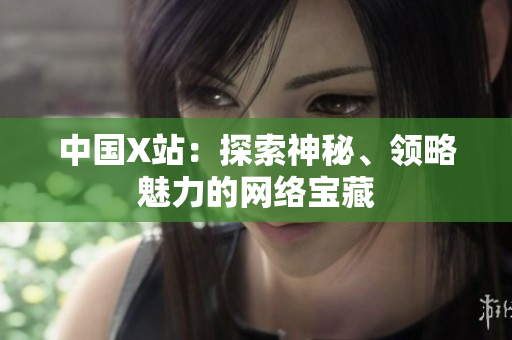 中国X站：探索神秘、领略魅力的网络宝藏