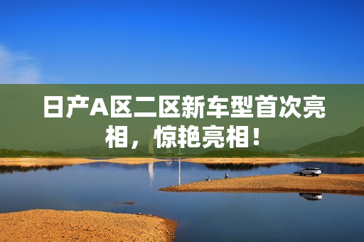日产A区二区新车型首次亮相，惊艳亮相！