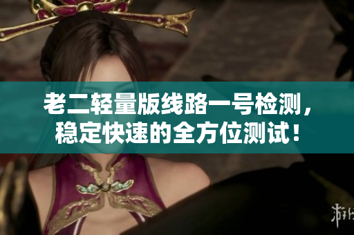 老二轻量版线路一号检测，稳定快速的全方位测试！