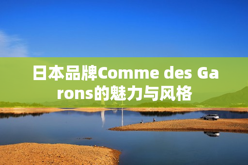 日本品牌Comme des Garons的魅力与风格