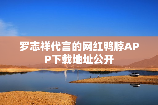 罗志祥代言的网红鸭脖APP下载地址公开