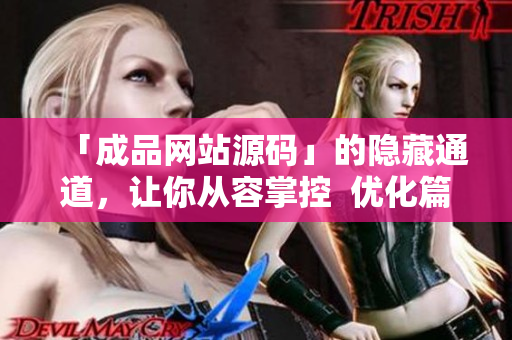 「成品网站源码」的隐藏通道，让你从容掌控  优化篇